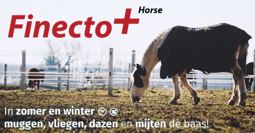 Finecto+ nu ook succesvol toegepast bij paarden, na kippen en vogels!