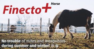 finecto-succesvol-treatment-for-lice-and-mosquitoes-on-horses-600x314