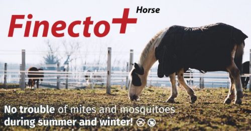 Finecto+ now also successfully used for horses, after chickens and birds!