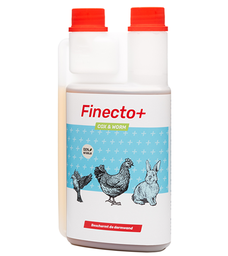 Finecto+ Cox & Worm wormen bij kippen en vogels
