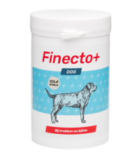 Finecto+ DOG