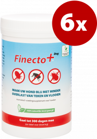 6x Finecto+ Dog (10% Discount)
