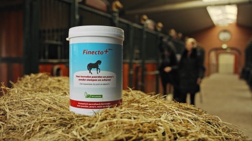 How does Finecto+ Horse work for horses with mites?