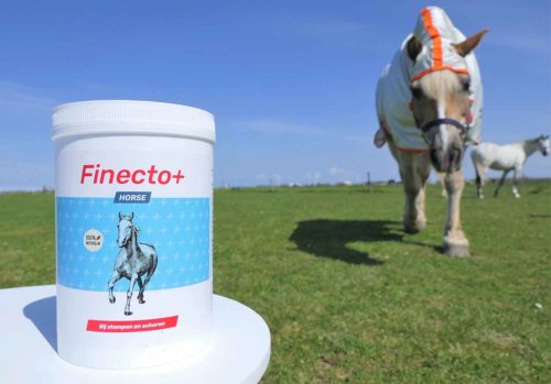 Hoe werkt Finecto+ Horse voor paarden met zomereczeem?